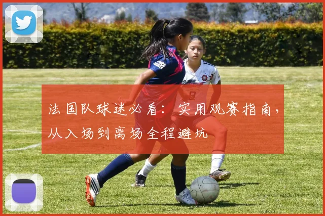 法国队球迷必看：实用观赛指南，从入场到离场全程避坑