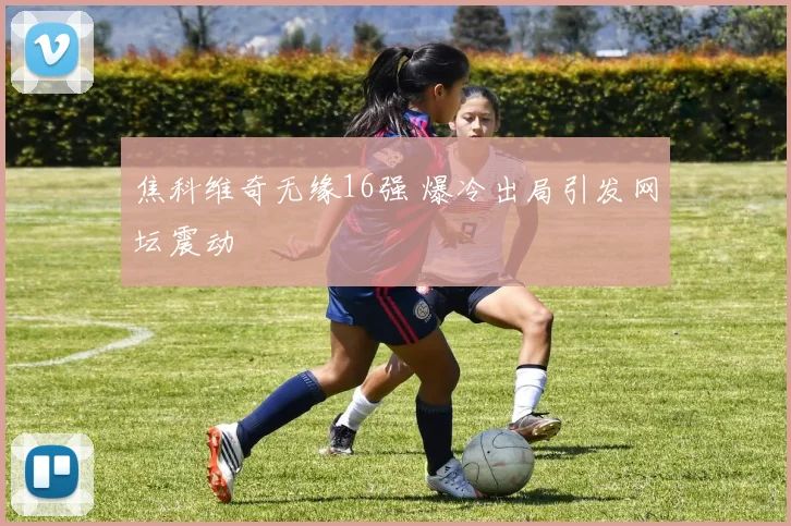 焦科维奇无缘16强 爆冷出局引发网坛震动